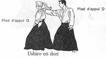techniques/mini/ushiro_eri_dori.jpg