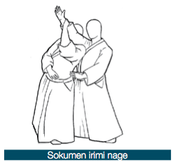Sokumen-irimi-nage.png